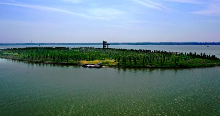 位于泗阳县洪泽湖区域的鹭飞岛景点,是泗阳实施的生态修复重点项目之