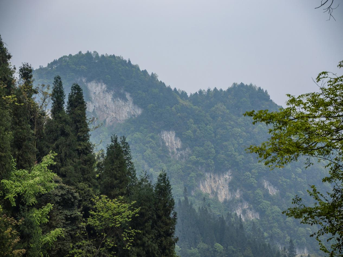 【"新"生向前】红色印记正生辉——威信湾子苗寨