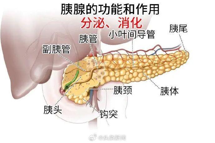 出现5种异常需警惕胰腺癌