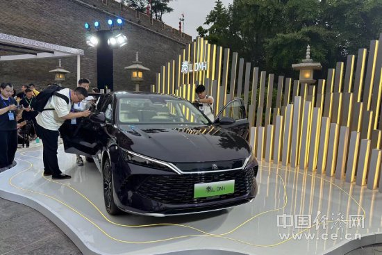 秦L DM-i 王跃跃 摄