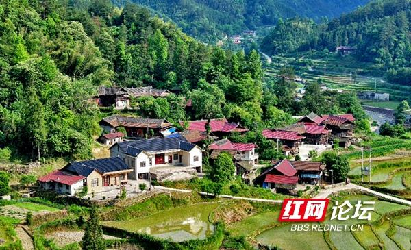 点绿成"金"!沅陵县这个"云上乡村"藏着一处生态秘境