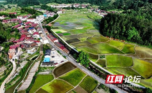 点绿成"金"!沅陵县这个"云上乡村"藏着一处生态秘境