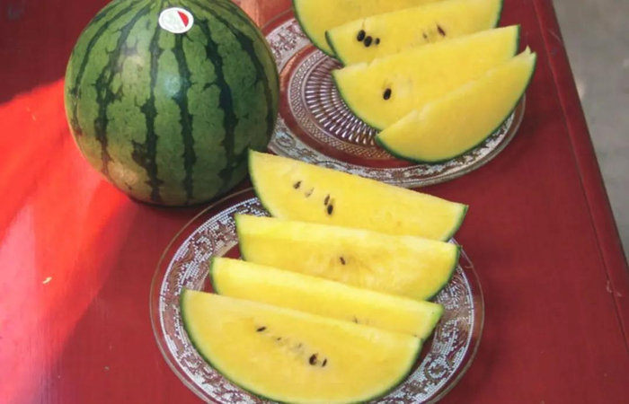 仁风西瓜。作者 拍摄