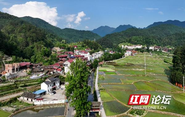 点绿成"金"!沅陵县这个"云上乡村"藏着一处生态秘境