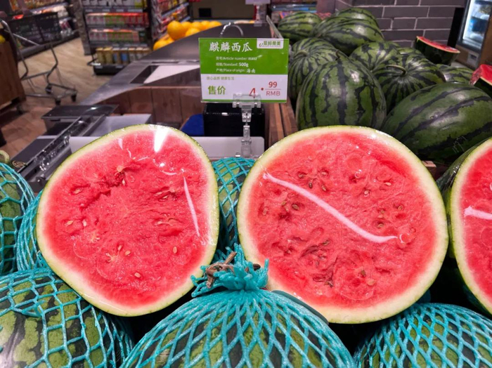 海南麒麟西瓜。阿肚 拍摄