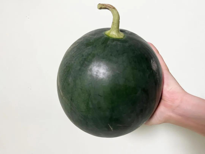 墨童西瓜。作者 拍摄