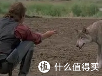 正如作者姜戎先生所言:重塑狼图腾柱.