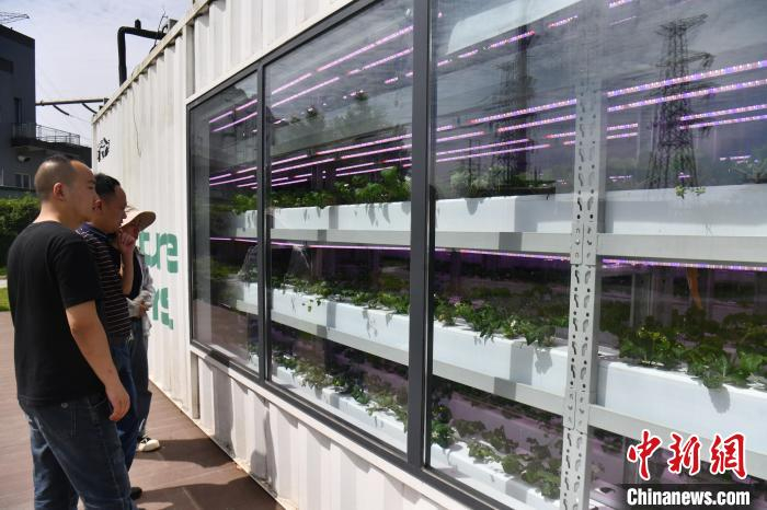 成都:集装箱被改造成"移动式智慧植物工厂"