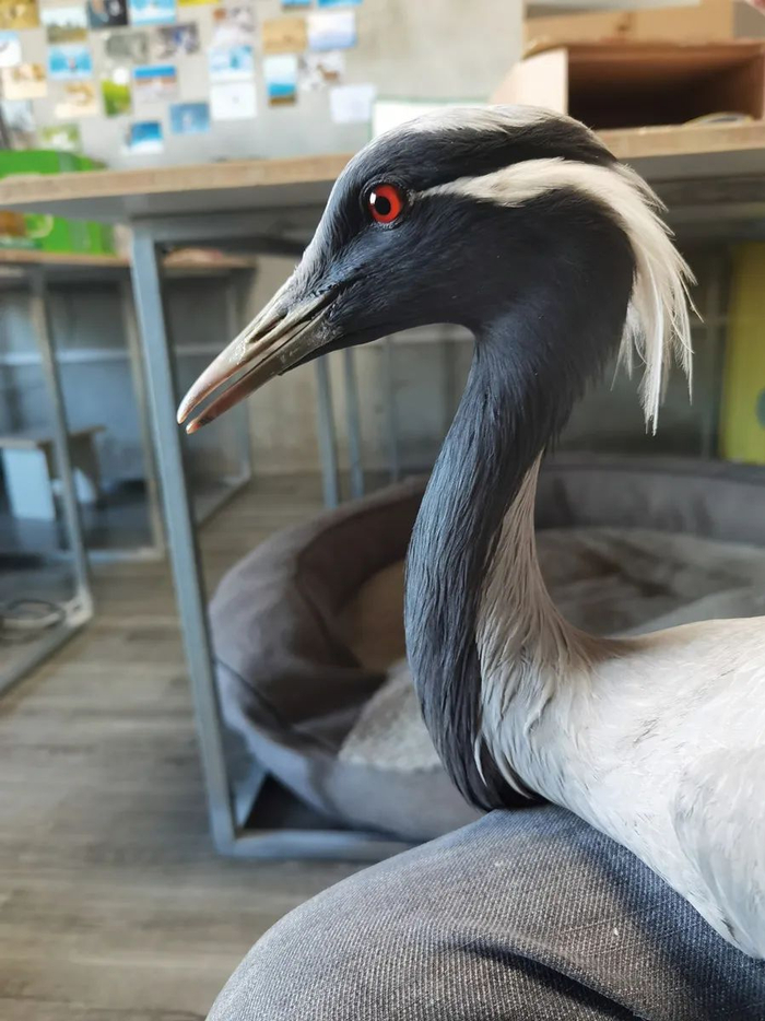 "她说要带我干一票大买卖"