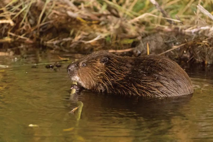 "她说要带我干一票大买卖"