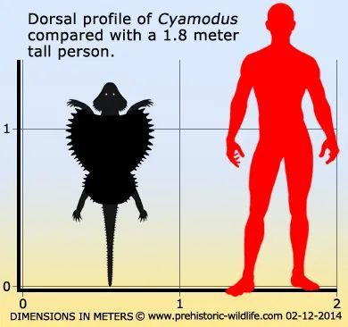第八十二课 豆齿龙(二)cyamodus