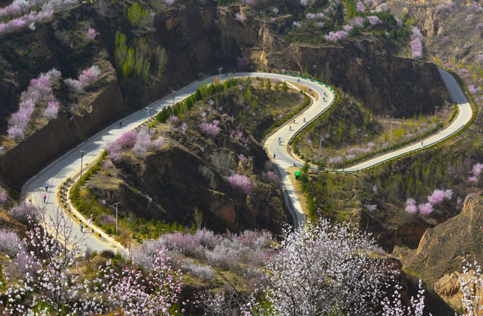 宁夏固原:"四好农村路"绘就乡村振兴新画卷