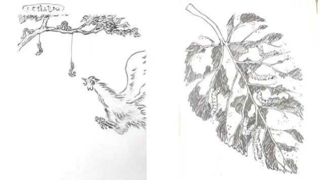 六只脚的动物简笔画图片