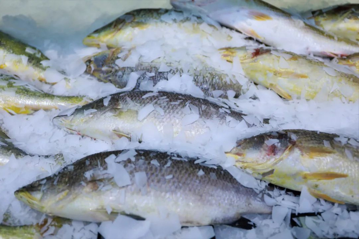 健康时报 曹子豪 摄