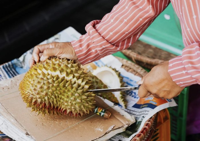 洪九的惨，是因为它踩中了一个不得不踩的雷。