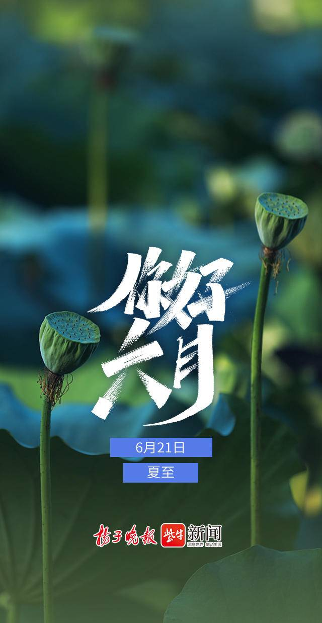 日历海报|你好,六月!