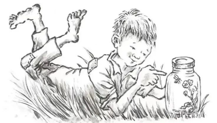 "我画的不是插画,而是愿景" | "小先生三部曲"插图创作手记