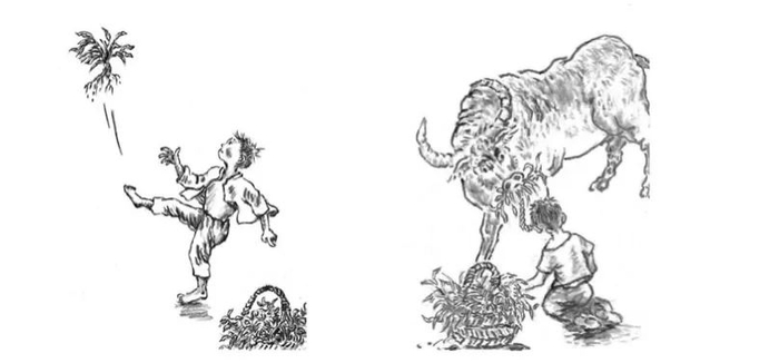 "我画的不是插画,而是愿景" | "小先生三部曲"插图创作手记