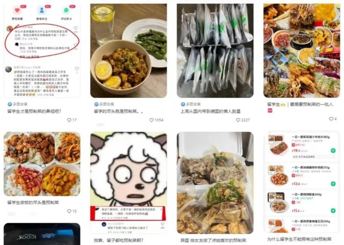 图片来源：小红书截图