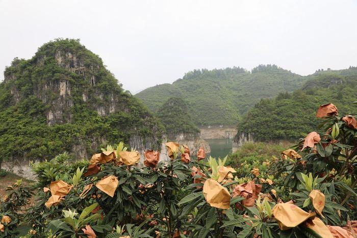 开阳县龙水乡图片