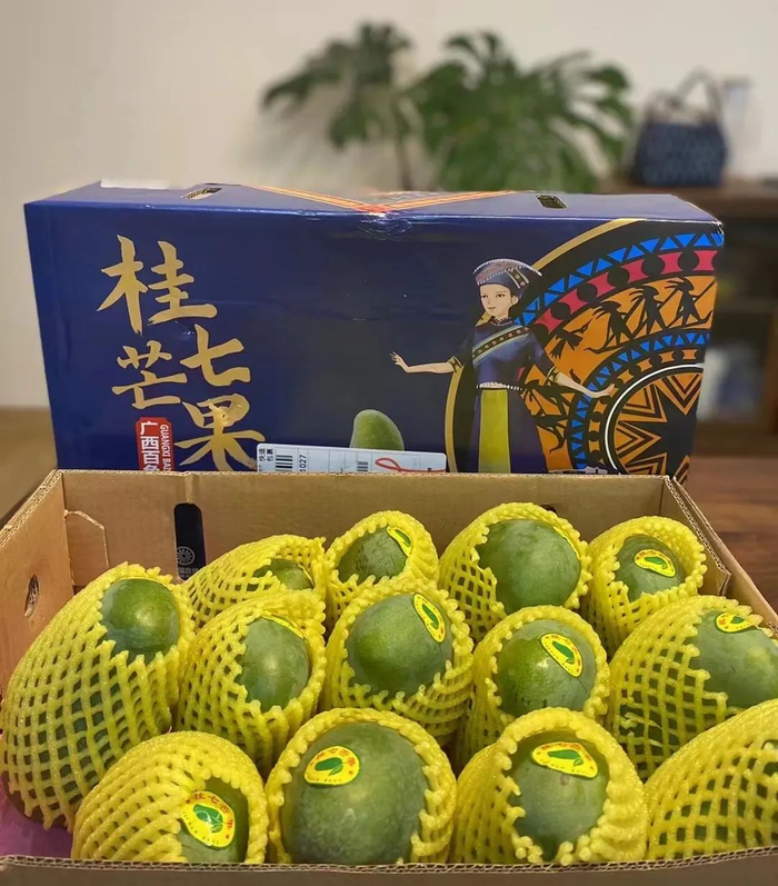 百色桂七芒果。资料图