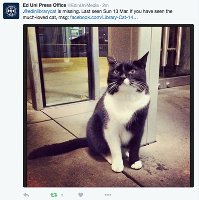 爱丁堡大学发布的寻找乔丹的寻猫启事