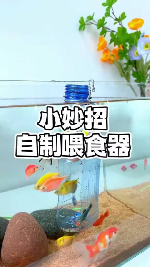 你不想要鱼粮满缸飞,那就自制一个简单的喂食器!