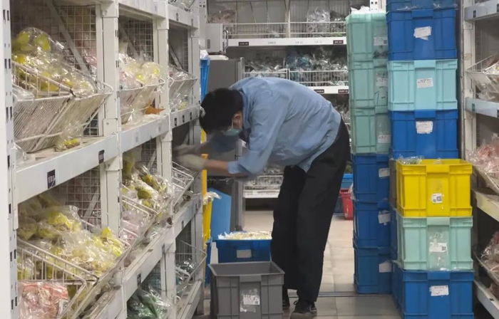 ▲上海中医药大学附属曙光医院中药房工作人员分拣中药材。新京报贝壳财经记者 俞金旻 摄