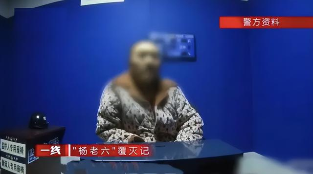 这片太敢拍!黑老大只手遮天,操纵市长任免,下属献"妻"给领导