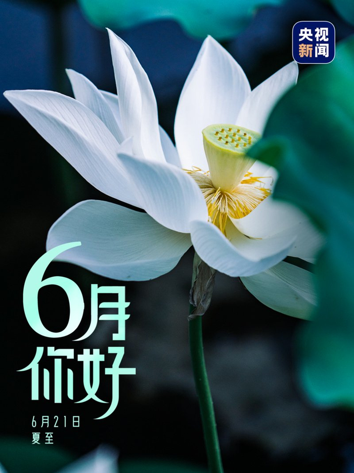 6月,你好!