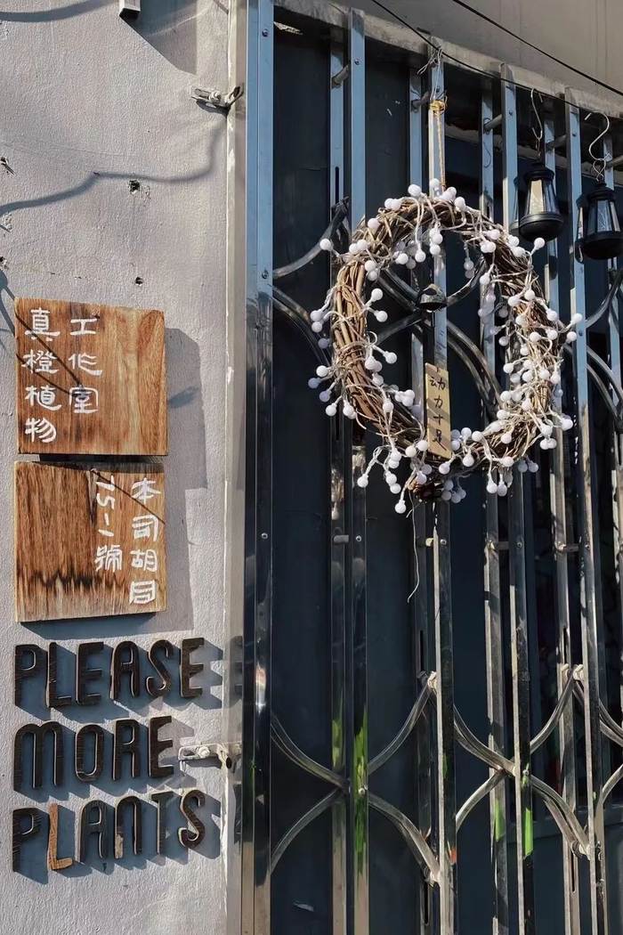 在北京的胡同里漫步,会偶遇什么?|city