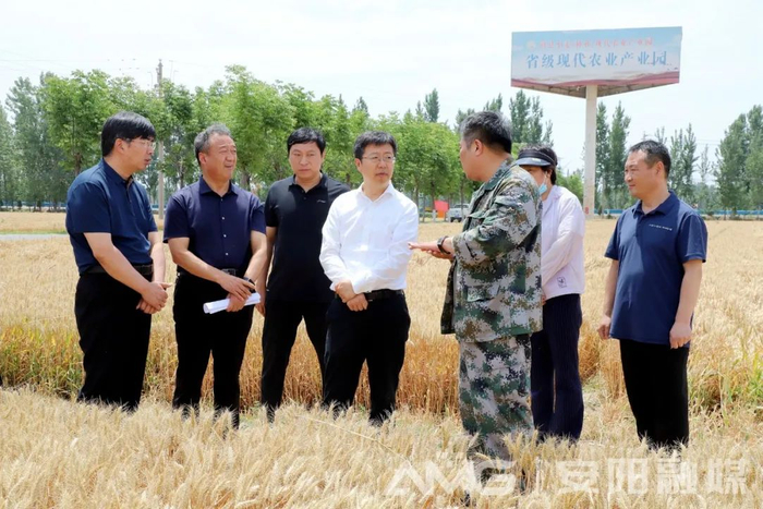 高永到滑县调研"三夏"工作