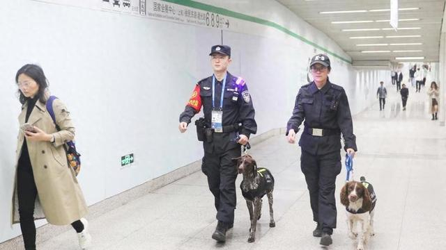 最佳警犬搭子为何叫"拉史"组合?