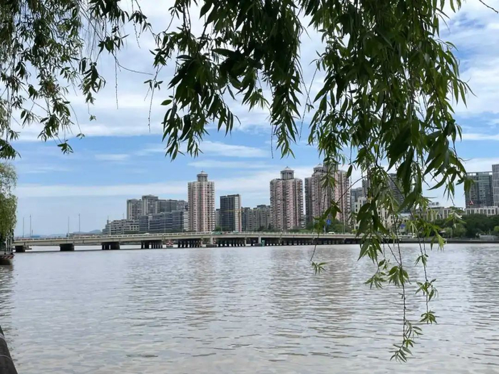 户外已是一片夏意浓。记者石承承 摄