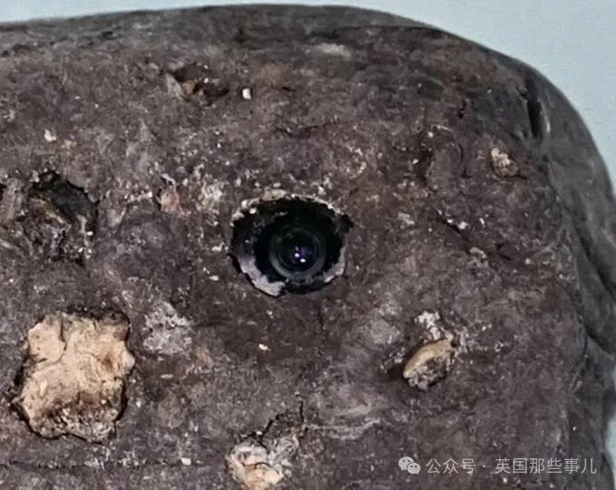妹子泡温泉,竟然被石头偷拍?这操作,简直变态.