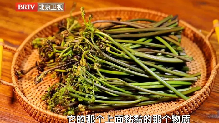 而蕨菜的别称也叫做龙须菜.