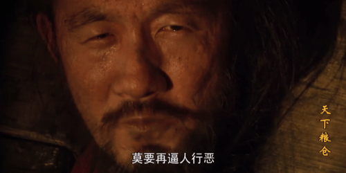 央视这尺度再也不能复制|央视|刘统勋|天下粮仓_新浪新闻