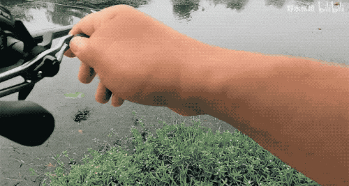 成功,对各种鱼竿,渔轮有了使用经验,再加上坚定了"鱼会吃铁片"的信念