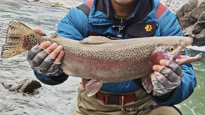 半个北京的钓鱼佬,扎堆在亮马河翘班