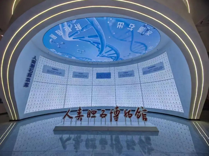 人类胆石博物馆馆藏的人类胆石标本，图/受访者