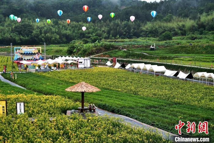 六旬台农的闽西谷主梦:种萱草建"台东忘忧谷"|花海|台湾|福建省_新浪