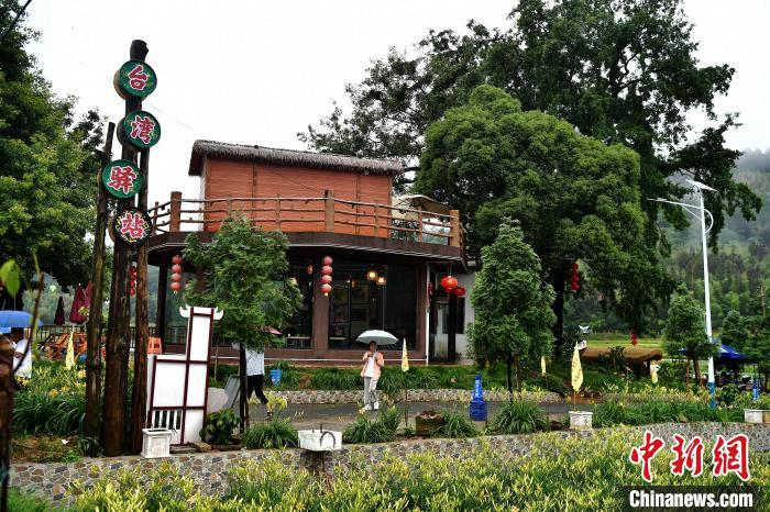 六旬台农的闽西谷主梦:种萱草建"台东忘忧谷"|花海|台湾|福建省_新浪