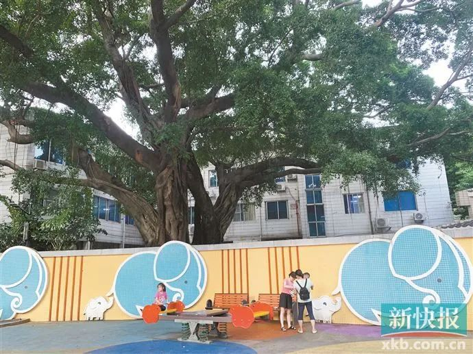 流花湖公园免费的宝象乐园。