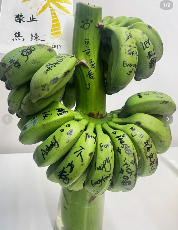 图源：网友@王祖贤