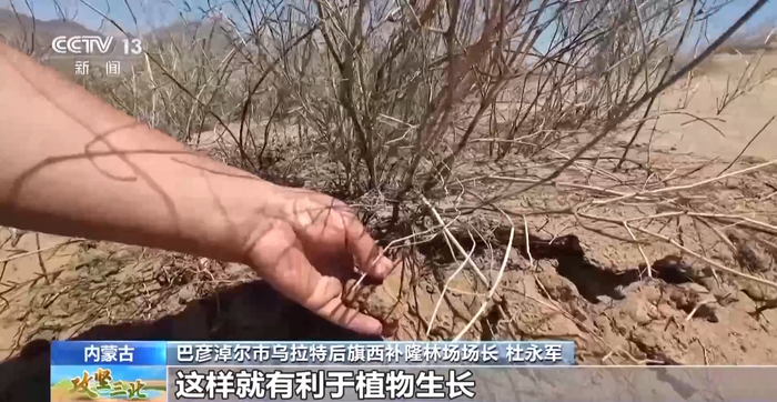 沙柳,麦秆,芦草等沙障模式,材料虽然不同,但都有一定的防风固沙效果