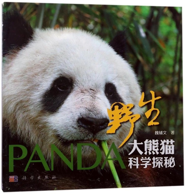 全球现象级小说作者为中国大熊猫写书!