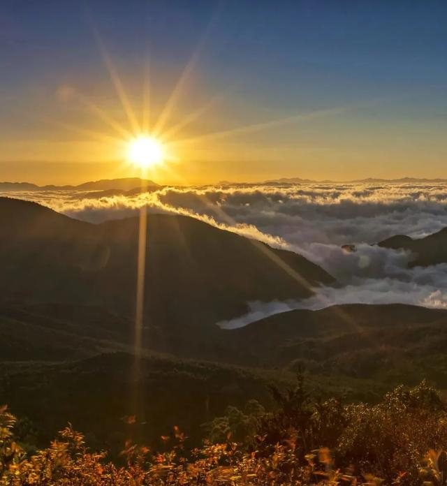 美姑这块秀丽迷人的彝乡宝地,已成为"熊猫之乡",生灵乐土.