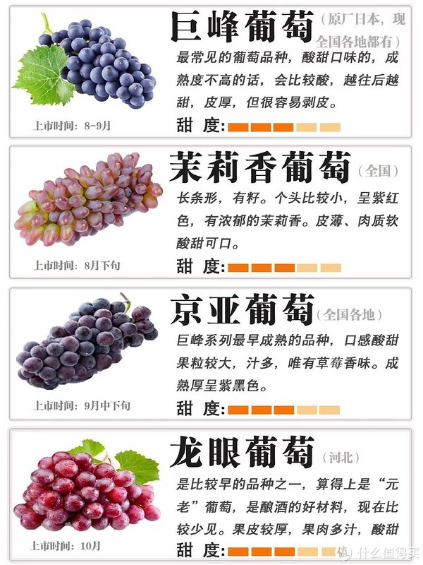 99葡萄大揭秘!这些区别让你一眼识破好葡萄98