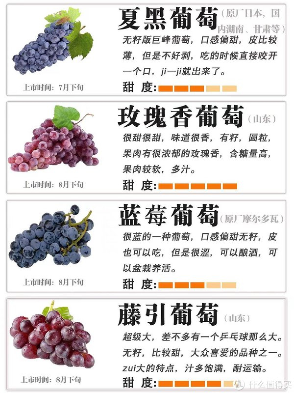 99葡萄大揭秘!这些区别让你一眼识破好葡萄98
