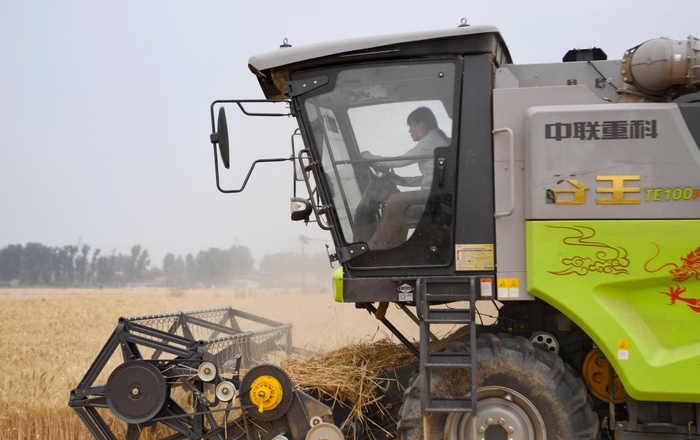 "又美又飒"——河南"00后"女机手踏麦浪一路向北|收割机|小麦|河南省